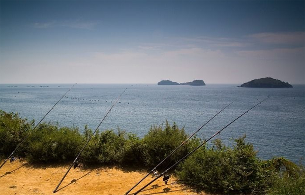 64463950a7594.png 64463950a7594.png