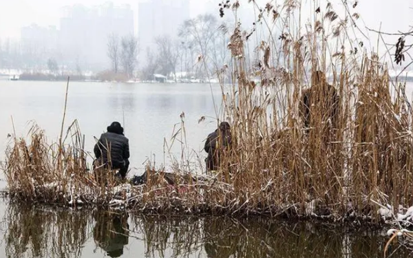 657132e68a9ef.png 657132e68a9ef.png