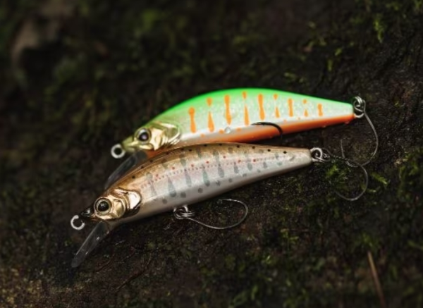 6836d6443ef1e.png 6836d6443ef1e.png