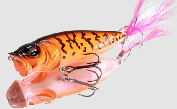 69295d55510d7.png 69295d55510d7.png